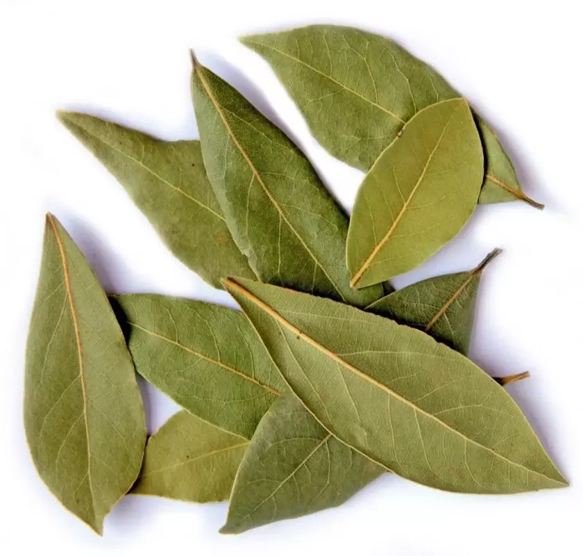 bay leaves