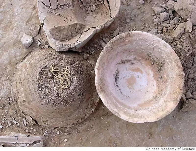 Ancient noodles preserved in an overturned bowl