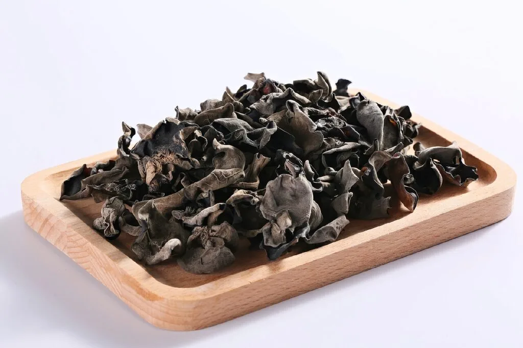 Rehydrated black wood ear fungus