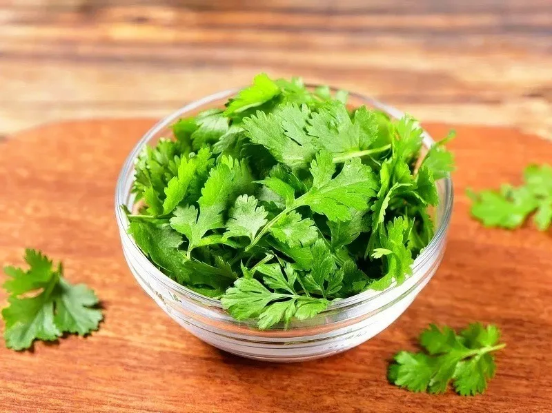 Cilantro in Chinese cooking
