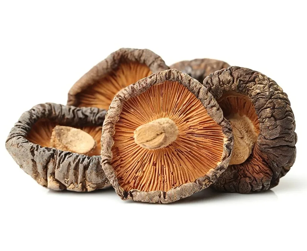 Fresh shiitake mushrooms