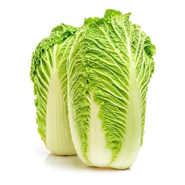 Napa cabbage