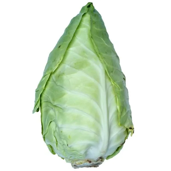Pointed cabbage