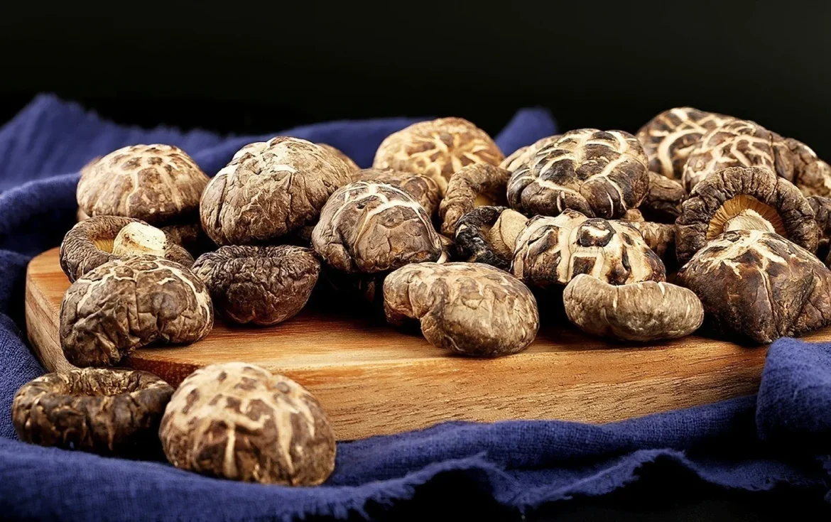 Shiitake mushrooms (xianggu)