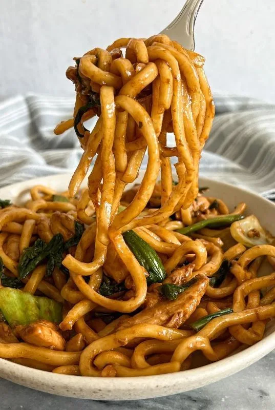 Udon noodle soup